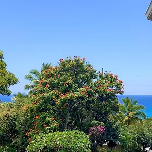 A Little Aloha , Kailua-Kona United States